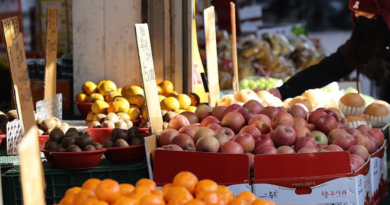 정부, 설 민생안정 총력…성수품 27만 톤 공급·최대 50% 할인, 소상공인에 39조 원 지원